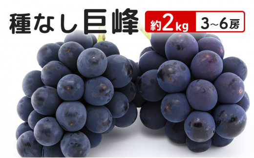 長野県産 種なし巨峰 約4.8kg 8-12房 ぶどう 長野県産種なし巨峰＜2房＞ | YAOGO☆Fruits