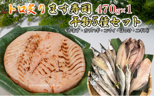 [№5313-0337]トロ炙ります寿司と干物5種（かます・カワハギ・コマイ・ほっけ・ニギス）セット　富山県黒部市