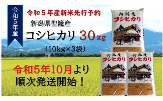 令和5年 新潟県産コシヒカリ 新米 30kg - 米