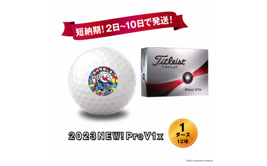 タイトリスト PRO V1X ホワイト 2021年モデル ゴルフボール 2ダース-