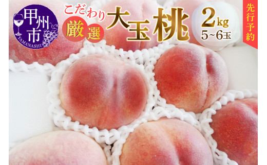 新鮮産直 甲州市！ シャインマスカット ３回定期便(KSF)【2023年先行 ...