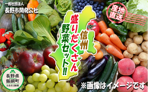 産地直送 新鮮 野菜 信州 盛りだくさん 野菜セット 長野市開発公社 沖縄県への配送不可  2023年4月上旬頃から2023年12月下旬頃まで順次発送予定 旬 農産物 野菜 きのこ 果物 ジャム セット 詰め合わせ 長野 16000円 長野県  飯綱町 [1182]