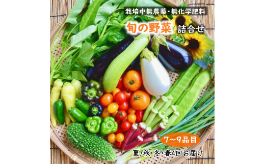 旬の野菜セット 夏秋冬春年4回お届け 栽培中無農薬 無化学肥料 各回7～9品目 季節の定期便