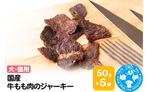 yQnWyzY ̃W[L[ 50g×5