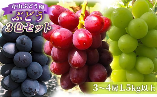 y쌧⑺zy2026Ns\z{̂Ԃǂ ܂3FZbgiiKmp[v܂̓VC}XJbg܂3F 3~4[1.5kgȏj ʕ t[c Hה lߍ킹 蕨 Mtg