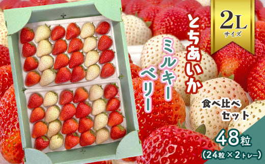 【先行予約】 2Lサイズ とちあいか・ミルキーベリー食べ比べセット