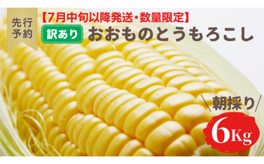 【 先行予約 7月中旬 以降発送】【 訳あり 】【 令和6年産 】 八千代町産 農家直送 朝採り とうもろこし おおもの 6kg トウモロコシ  スイートコーン 産地直送 規格外 不揃い 傷 [AX031ya]