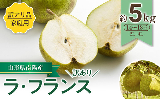 令和7年産先行予約】 〈訳あり品 家庭用〉 ラ・フランス 約5kg 《令和7