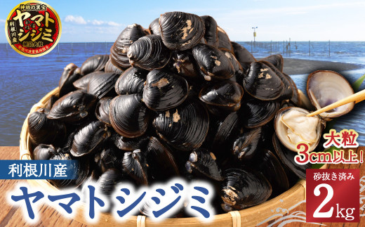 BN-4 神栖の黒宝 漁業者からお届け！利根川産 ヤマトシジミ 2kg