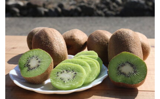 ZE6362n_キウイフルーツ 約 1.2kg M ～ 4Lサイズ 混合 手選別 キウイ