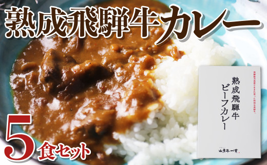 熟成飛騨牛カレー レトルト 詰め合わせ 5食セット 国産和牛カレー 観光