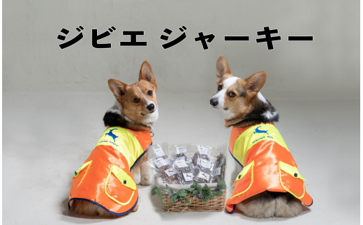 y쌧zYuWrG@W[L[ipjv