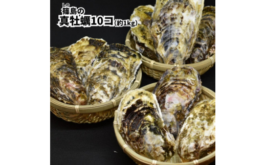 ふるさと納税 南知多町 剪定作業 18,000円引きクーポン