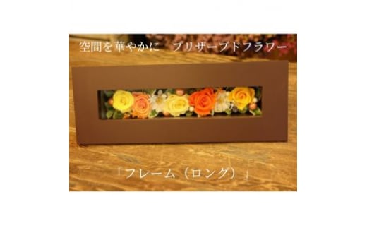 y쌧cszԂ؂₩Ɂ@vU[uht[ut[iOjv@ C [5312-7172]0577