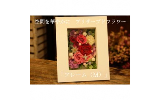 y쌧cszԂ؂₩Ɂ@vU[uht[ut[iMjv [5312-0576]