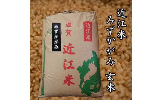 米 新米 令和4年産 玄米 近江米 みずかがみ 30kg 米粉 200g付 農家直送 ...