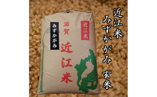 【送料無料】みずかがみ（精米） 20㎏ 滋賀県産 令和4年【早い者勝ち】みずかがみ産地