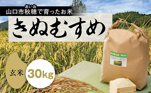 B067 あいお（秋穂）で育ったお米 きぬむすめ 玄米30kg - 山口県山口市｜ふるさとチョイス - ふるさと納税サイト