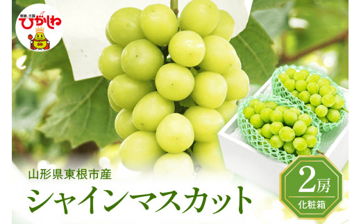 2025年ぶどう「シャインマスカット」2房(約1.2kg) 東根農産