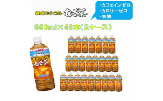 R5-13 健康ミネラルむぎ茶650ml PET×48本（2ケース） - 群馬県前橋市