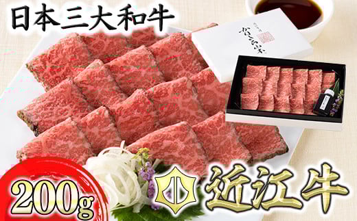yꌧߍ]szyJlgR{zߍ]a[Xgr[tXCX200gÂa||tyY113Wz