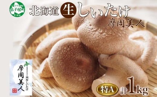 1949. しいたけ 特A 秀品 4パック 計1kg 摩周美人 シイタケ 椎茸 生しいたけ きのこ キノコ 菌床栽培 大粒 肉厚 BBQ バーベキュー  送料無料 北海道 弟子屈町 12000円 - 北海道弟子屈町｜ふるさとチョイス - ふるさと納税サイト