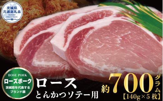 y錧szy[Y|[Nz[X Ƃ񂩂E\e[p 700 i140×5ji錧ʕԗij