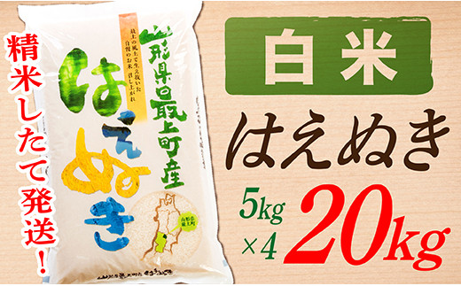 年内発送】SA11204-2【令和5年産】【白米】山形県産はえぬき20kg