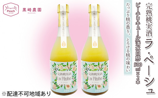 yRԔ֎sz   Ey[V   500ml×2{ Zbg R Ԕ֎sY ʕ t[c s[` L[