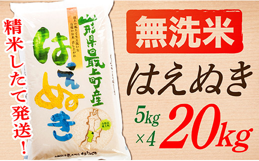 SA12204-2【令和5年産】【無洗米】山形県産はえぬき20kg - 山形県最上