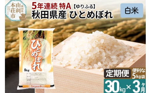 ふるさと納税 秋田県 仙北市 白米 《定期便3ヶ月》令和5年産 秋田県産