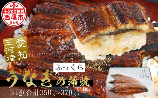 三河産 うなぎ 蒲焼×3尾（合計350g～370g）≪冷凍≫ A084-20 西尾市