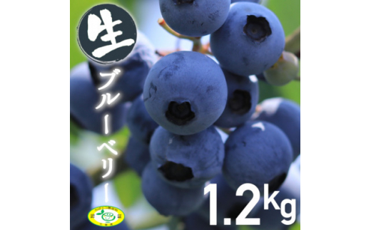 ytݎsz݂̃u[x[y1388556z