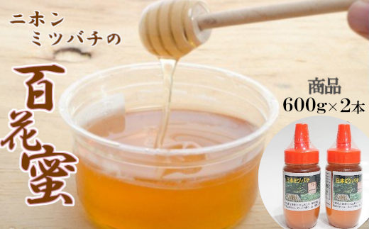日本蜜蜂　蜂蜜　600g 2瓶
