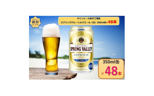 キリンビール取手工場産 一番搾り糖質ゼロ350ml缶-24本×2ケース