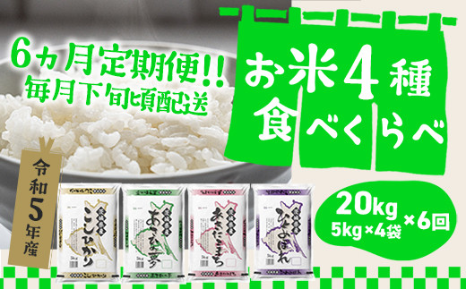 K1959 【令和5年産】【6か月毎月発送】 定期便 1000セット 限定 お米 4