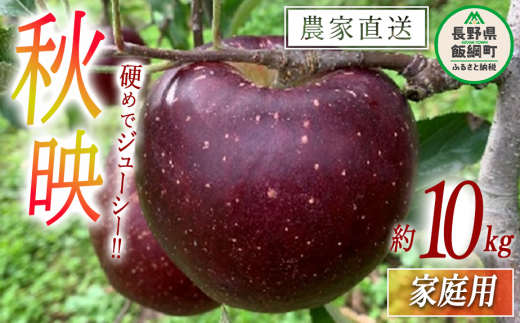 y쌧эjz Hf ƒp 10kg t@[g 2025N10{2025N10{܂ŏ\ ߘa7Nxn MB ʕ t[c S ь Hf 3Z  24000~