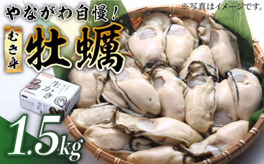 生牡蠣】やながわ自慢！ むき身 牡蠣 1.5kg＜マルサ・やながわ水産有限