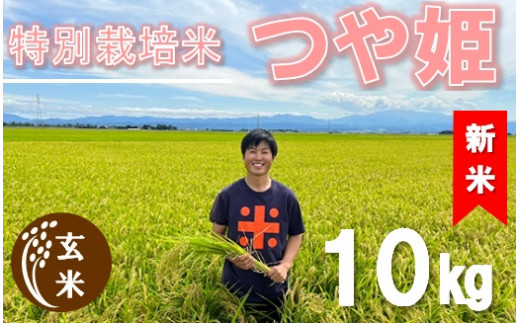 令和5年産・玄米】ecofarmすがわらの特別栽培米つや姫30kg - 山形県三