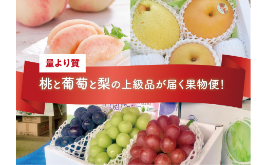 2026年先行予約】量より質！桃と葡萄と梨の上級品が届く岡山果物便！3