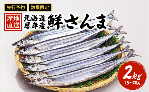 先行予約 産地直送 北海道 厚岸産 刺身用 鮮さんま 2kg（15～20尾） サンマ [№5863-0595]