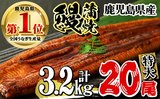 鹿児島県産 うなぎ蒲焼 特大 20尾セット 鰻蒲焼 計約3.2kg(約160g×20尾