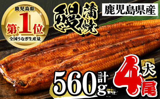 鹿児島県産 うなぎ蒲焼 大 4尾セット 鰻蒲焼 計約560g(約140g×4尾