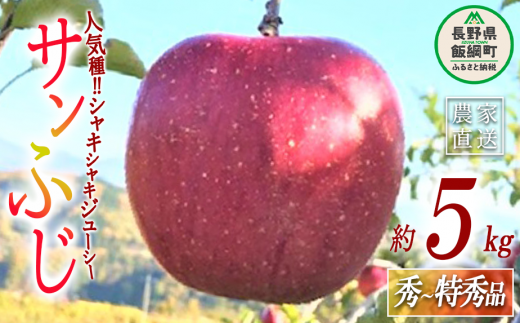 りんご サンふじ 秀 〜 特秀 5kg ファームトヤ 沖縄県への配送不可