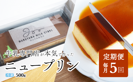 【定期便】濃厚プリン New Pudding（ニュープディング）（500g×1