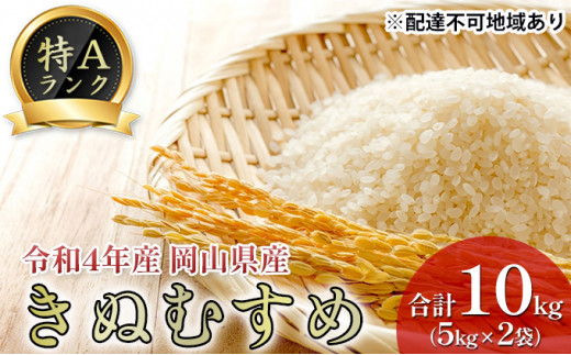 [№5615-0117]米 特Aランク きぬむすめ 10kg（5kg×2袋） 令和5年産 岡山県産 米 お米 白米