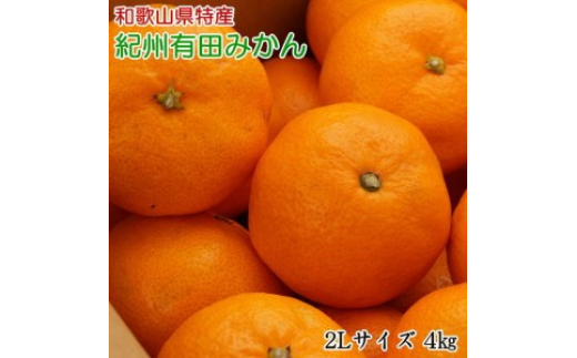 [秀品]和歌山有田みかん4kg(2Lサイズ)※2023年11月中旬～2024年1月中旬頃に順次発送予定