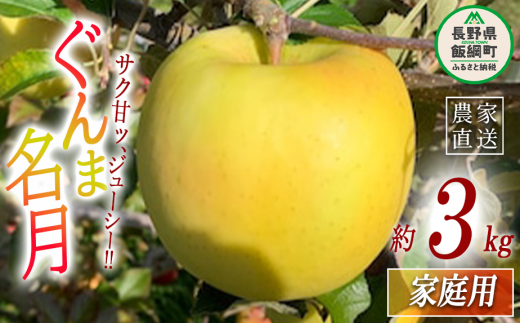 りんご ぐんま名月 家庭用 3kg ファームトヤ 沖縄県への配送不可 2023年11月中旬頃から2023年12月下旬頃まで順次発送予定  令和5年度収穫分 信州 果物 フルーツ リンゴ 林檎 名月 長野 12000円 予約 農家直送 長野県 飯綱町 [1423]