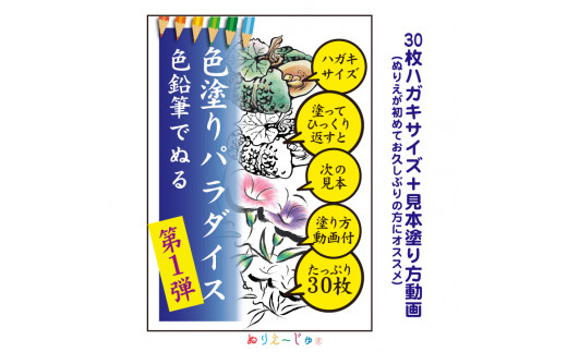 色塗りパラダイス」ハガキサイズ色鉛筆で初めての方も安心【30枚】見本