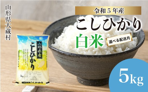 通販好評 先行受付 ＜令和5年産＞ 大蔵村 はえぬき ＜白米＞ 定期便